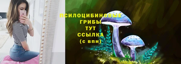 бутират Алзамай