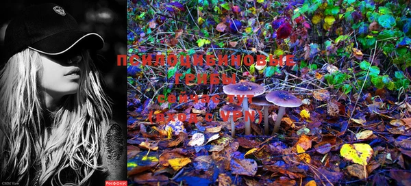 PSILOCYBIN Алексеевка
