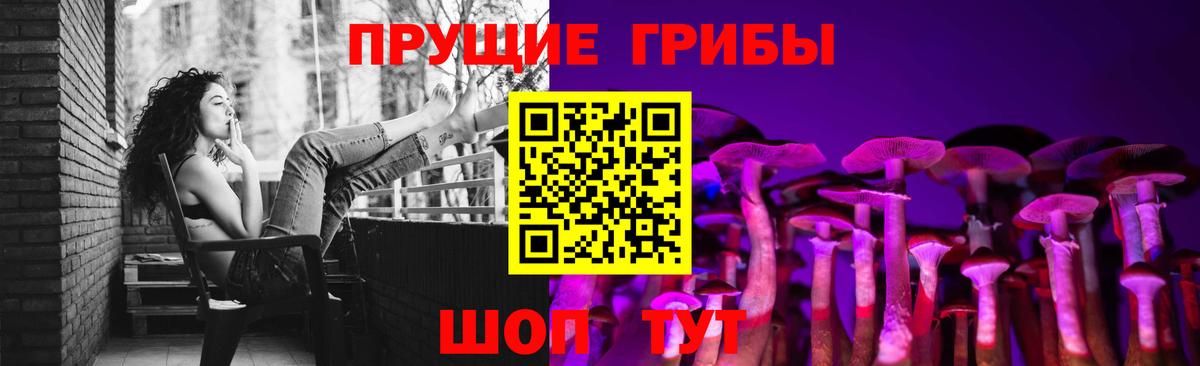 Галлюциногенные грибы MAGIC MUSHROOMS  Вход с VPN  Галлюциногенные грибы Cubensis  Борзя 